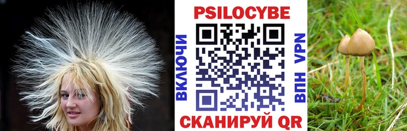 Галлюциногенные грибы GOLDEN TEACHER  Купить где  Верхняя Салда 
